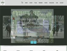 Tablet Screenshot of aguet.com